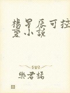 杨星辰可控核聚变小说