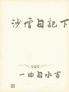 沙僧日记下载