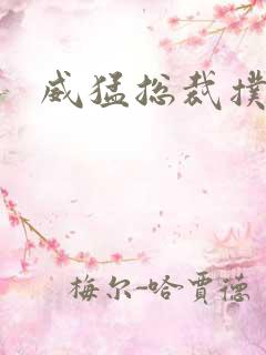 威猛总裁扑娇妻