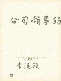 公司领导的老婆