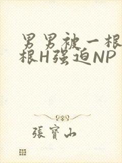 男男被一根又一根H强迫NP
