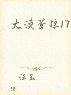 大漠苍狼17