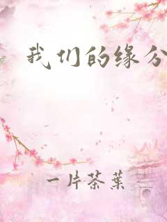 我们的缘分小说