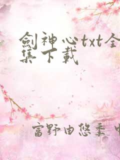 剑神心txt全集下载