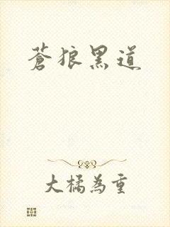 苍狼黑道