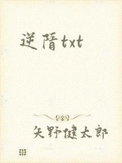逆隋txt