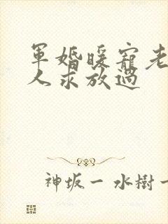 军婚暖宠老公大人求放过