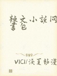 辣文小说网第二书包