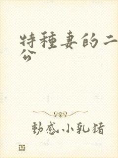 特种妻的二手老公