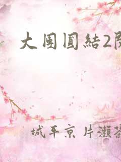 大团圆结2阅读