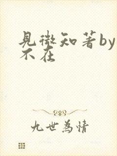 见微知著by音不在