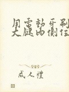 用电动牙刷放在大腿内侧位置作文