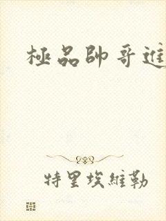 极品帅哥进化史