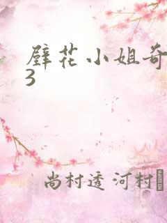 壁花小姐奇遇记3