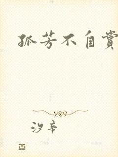 孤芳不自赏小说