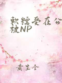 软糯受在公交车被NP