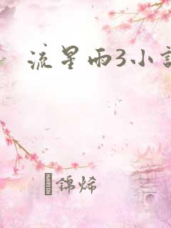 流星雨3小说
