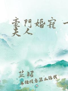 豪门婚宠 一品夫人