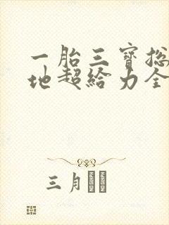一胎三宝总裁爹地超给力全文免费阅读