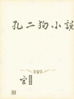 孔二狗小说