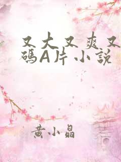 又大又爽又黄无码A片小说