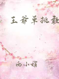王爷单挑敢不敢