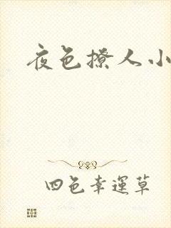 夜色撩人小说