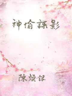 神偷谍影