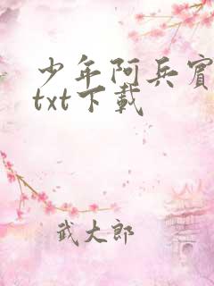 少年阿兵宾小说txt下载