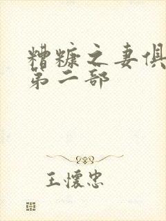 糟糠之妻俱乐部第二部