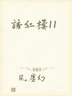 诱红楼11