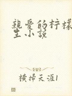 亲爱的柠檬精先生小说