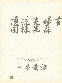 顶流夫妇有点甜图样先森