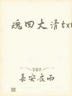 魂回大清txt