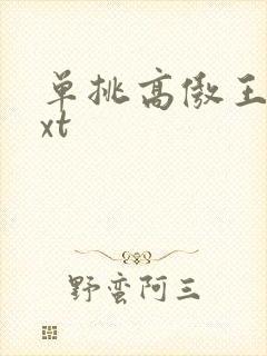 单挑高傲王子txt