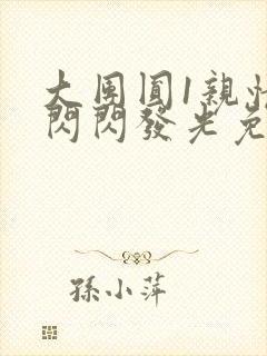 大团圆1亲情会闪闪发光免费