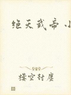 绝天武帝 小说