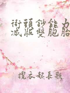 街头钞能力无删减版双胞胎