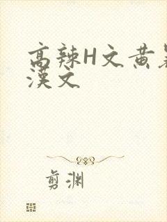 高辣H文黄暴糙汉文