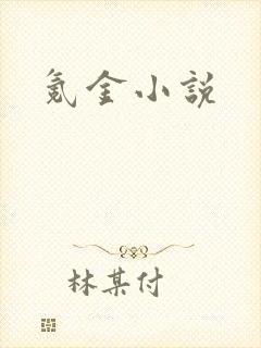 氪金小说