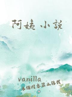 阿姨 小说