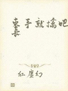 束手就擒吧韩队长