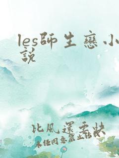 les师生恋小说