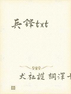 兵锋txt