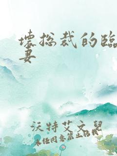 坏总裁的临时娇妻