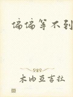 偏偏等不到小说