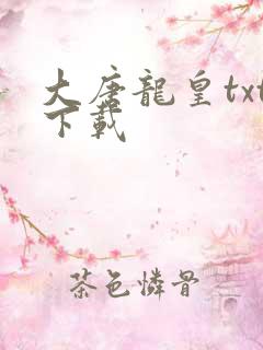 大唐龙皇txt下载