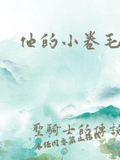 他的小卷毛