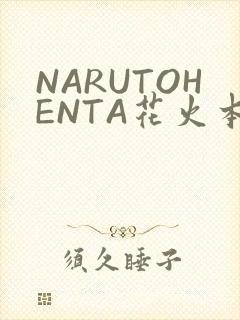 NARUTOHENTA花火本子