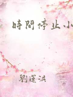 时间停止小说